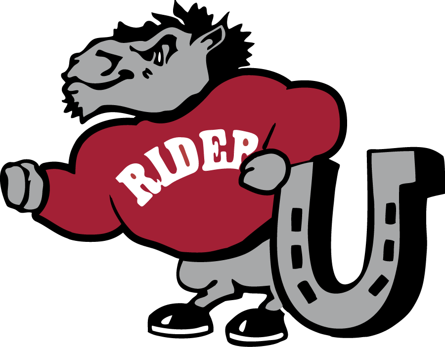 Rider Broncs 1994-2007 Primary Logo diy iron on heat transfer